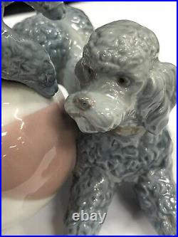 LLADRO Playful Dogs Poodles Style 1258 Gloss Glaze