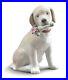 LLADRÓ This Bouquet is for You Dog Figurine. Porcelain Dog Figure