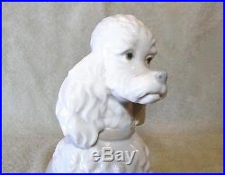 LLADRO (style) SITTING POODLE DOG #01000325 issued 1966 retired 1980