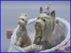 LLADROYorkshires. Our Cozy Home Dogs Porcelain Figurine 6469 With Box