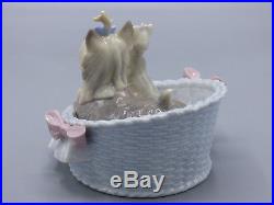 LLADROYorkshires. Our Cozy Home Dogs Porcelain Figurine 6469 With Box