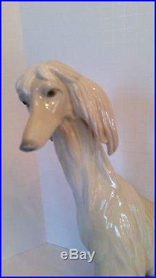 LLAdro Large afghan dog porcelain figurine, hand made in spain. Numbered