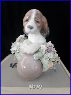 LLadro #6574 Take Me Home! Puppy Dog with Flowers Glossy Figurine With Box