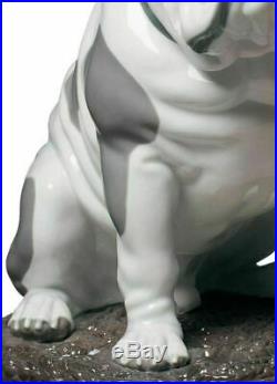Lladro 01009234 Bulldog with Lollipop Dog Figurine 01009234