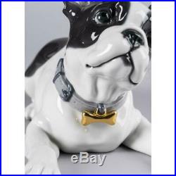 Lladro 01009398 French Bulldog with Macarons Dog Figurine 01009398