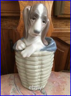 Lladro 1128 Dog in a Basket Retired! Mint Condition! No Box! L@@K