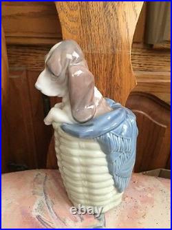 Lladro 1128 Dog in a Basket Retired! Mint Condition! No Box! L@@K