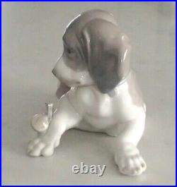 Lladro 1139 Dog and Snail curious puppy staring at snail on paw MWOB, RV$480