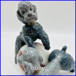 Lladro #1258 Poodles Playing with Beachball Playful Dogs Gloss Finish RETIRED