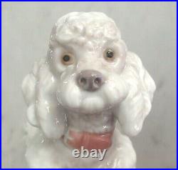 Lladro 1259 Poodle standing Woolly Poodle Puppy Dog MIB, RV$455