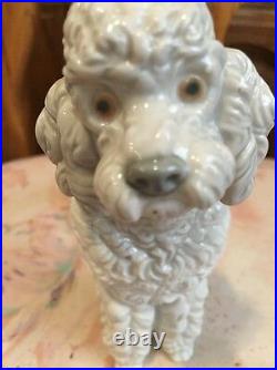 Lladro 1259 Woolly Dog, Poodle Standing Retired! Mint Condition! No Box! L@@K