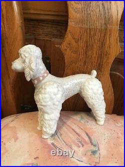 Lladro 1259 Woolly Dog, Poodle Standing Retired! Mint Condition! No Box! L@@K