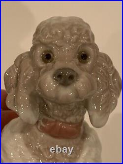 Lladro 1259 Woolly Dog, Poodle Standing Retired. (No Box)