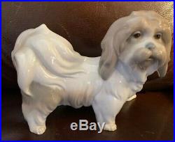 Lladro 4642 Dog Retired! Mint Condition! No Box! Glossy Finish! L@@K