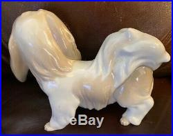 Lladro 4642 Dog Retired! Mint Condition! No Box! Glossy Finish! L@@K