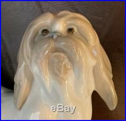 Lladro 4642 Dog Retired! Mint Condition! No Box! Glossy Finish! L@@K