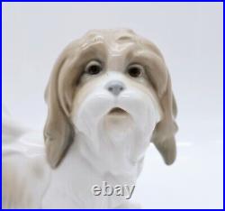 Lladro 4642 Lhasa Apso Tibetan Terrier Porcelain Figurine Dog