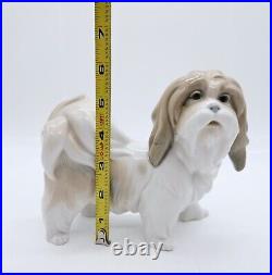 Lladro 4642 Lhasa Apso Tibetan Terrier Porcelain Figurine Dog