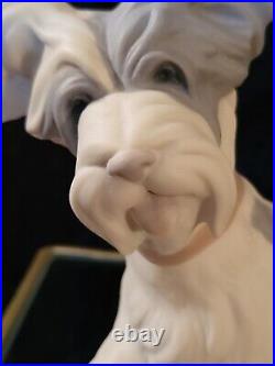 Lladro 4643 Skye Terrier Retired! Super scarce Matte Finish! Puppy! Dog! Mint