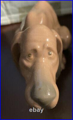 Lladro 5111 Baffled dog, Retired! Mint Condition! Original Blue Box! L@@K! Rare