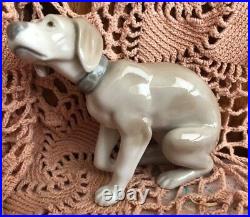 Lladro 5351 Woe is Me, Sad Looking Dog Retired! See Description! No Box! RARE