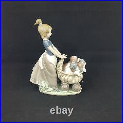 Lladro 5364 Litter Of Fun