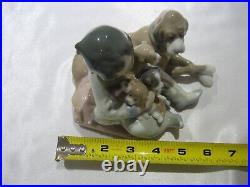 Lladro 5456 New Playmates Porcelain Boy With Dog And Puppies