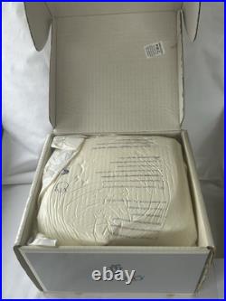 Lladro #5456'New Playmates' Young Boy with Dog Holding 4 Puppies Figurine MIB