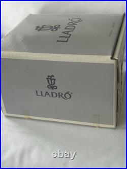 Lladro #5456'New Playmates' Young Boy with Dog Holding 4 Puppies Figurine MIB
