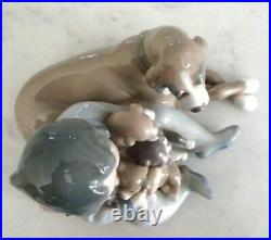 Lladro 5456 New Playmates boy w 4 puppies & Momma dog looking on MIB, RV$415