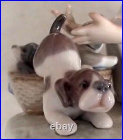 Lladro 5595 Joy in a Basket girl with 3 puppy dogs in a basket MWOB, RV$250