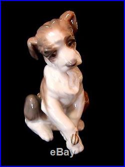 Lladro #6211 New Friend Brand New In Box Puppy With Snail Dog Animals