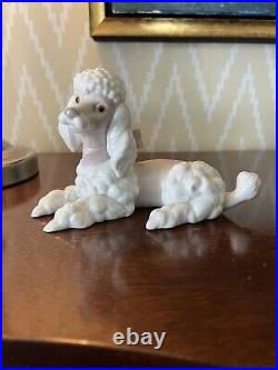 Lladro 6337 Poodle Dog Mint Condition No Box Retired SIGNED