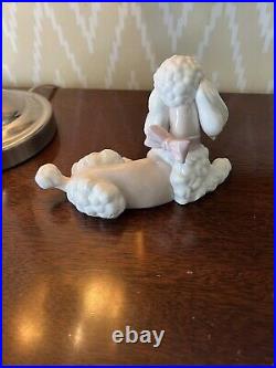 Lladro 6337 Poodle Dog Mint Condition No Box Retired SIGNED