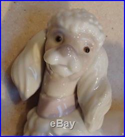 Lladro #6337 Poodle dog laying down with pink collar bow MINT, no box, RV$340