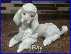 Lladro 6337 Poodle puppy dog laying down with pink collar bow MWOB, RV$340