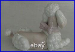 Lladro 6337 Poodle puppy dog w pink purple bow lying down MWOB, RV$340