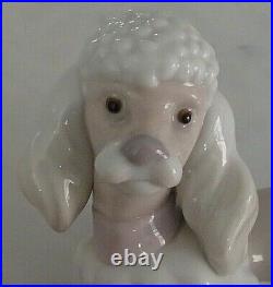 Lladro 6337 Poodle puppy dog w pink purple bow lying down MWOB, RV$340