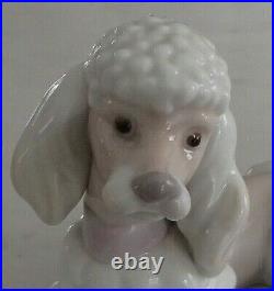 Lladro 6337 Poodle puppy dog w pink purple bow lying down MWOB, RV$340