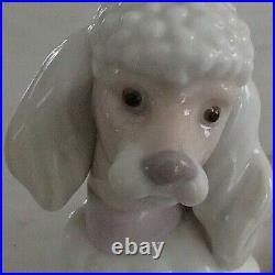 Lladro 6337 Poodle puppy dog w pink purple bow lying down MWOB, RV$340