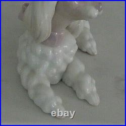 Lladro 6337 Poodle puppy dog w pink purple bow lying down MWOB, RV$340