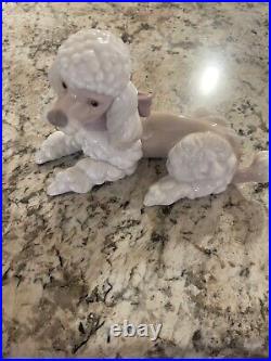 Lladro 6337 Poodle puppy dog with pink purple bow lying down MWOB, RV$360