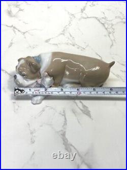 Lladro #6417 Unlikely Friends Bull Dog & Cat Porcelain Figurine Retired