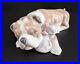 Lladro #6417 Unlikely Friends Bulldog & Cat Porcelain Figurine Retired Dog Nap