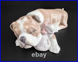 Lladro #6417 Unlikely Friends Bulldog & Cat Porcelain Figurine Retired Dog Nap