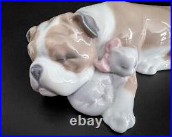 Lladro #6417 Unlikely Friends Bulldog & Cat Porcelain Figurine Retired Dog Nap