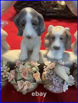 Lladro #6502 Please Come Home Dogs At Window Beautiful Condition