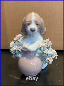 Lladro 6574 Take Me Home! Dog Figurine Mint Condition No Box