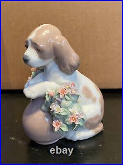 Lladro 6574 Take Me Home! Dog Figurine Mint Condition No Box