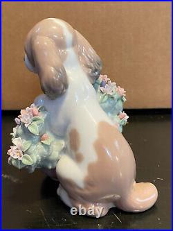 Lladro 6574 Take Me Home! Dog Figurine Mint Condition No Box